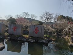 -香雪海