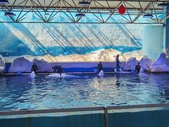 -秦皇岛乐岛海洋王国