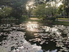 -云溪植物园