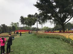-保利石象湖景区