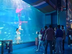 -泉城欧乐堡海洋极地世界