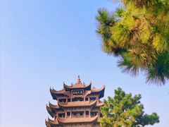 -黄鹤楼公园(黄鹤楼)