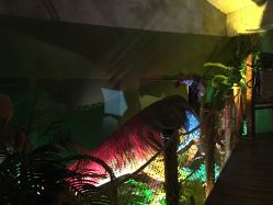 -恐龙探索乐园(磁器口店)