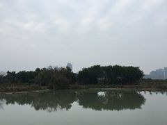 -三垟湿地
