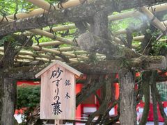 -奈良公园