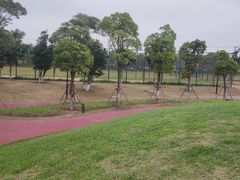 -春花秋色城市公园