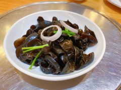 捞汁木耳-九十九顶毡房(阜石路店)