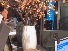 -碧澄保健(东风西路店)