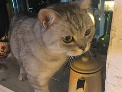 -不舍昼夜咖啡馆