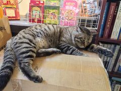 -正阳书局(西四南大街店)
