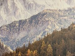 -肖记公安牛肉鱼杂馆· 省级非物质文化遗产(仁和路店)