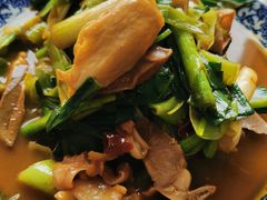-苏州藏书羊肉(本溪路店)