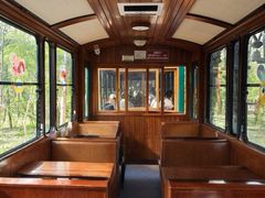 -合肥滨湖国家森林公园