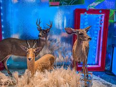 -凯德广场(武胜路店)