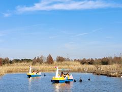 -宁波杭州湾国家湿地公园