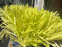 -尤素福东举院饺子馆