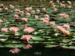 -白鹭湾湿地公园