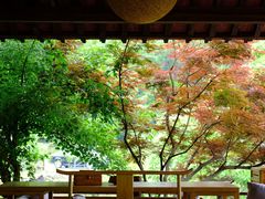 -塔川景区
