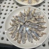 刚刚吃掉的生鲜鲑鱼