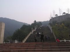 -铁山坪森林公园