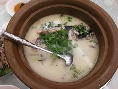 天目湖鱼头-海江5号