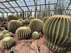 -南通洲际绿博园