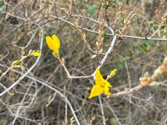 -八喜冰淇淋蛋糕(富国店)