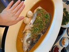 剁椒鱼头-凤凰湘语·湘粤鲜融(浦东旗舰店)