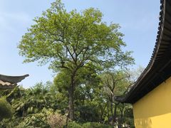 -常州古运河南大街文化旅游区-人民公园