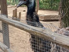 -青藏高原野生动物园