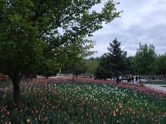 -长春公园(普阳街道)