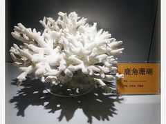 科普区-福州罗源湾海洋世界旅游区