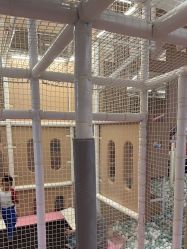 -超级奈尔宝SUPER NEOBIO(杭州星光店)