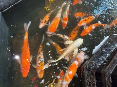 -天津瀚金佰九号温泉酒店(南楼地铁站店)