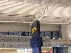 -广州白云国际机场-T2航站楼