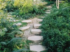 -南山植物园