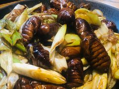 炒茧蛹-潮庭·大连海鲜·炭火烧烤·扇贝王(大连店)