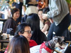 -J Create城市露营咖啡·简餐·宠物(上海动物园店)