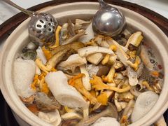 -原林野山菌火锅·炒菌(关上野生菌一条街店)