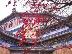 -广州中山纪念堂