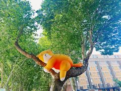 -西安电影制片厂