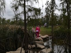 -上海长兴岛郊野公园