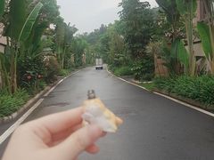 -清远熹乐谷温泉度假酒店