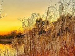 景点-东郊湿地公园