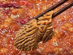 -扎起市井老火锅(乐山总店)
