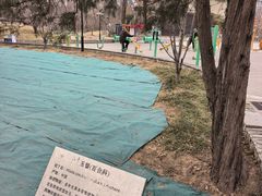 -丰台花园