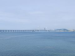 -星海湾跨海大桥