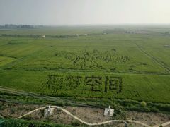 android_upload_pic-稻梦空间