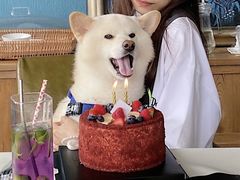 -姆们M Sweetie Cake(五道口店)