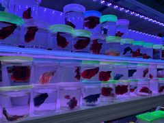 -三旗百汇商品城